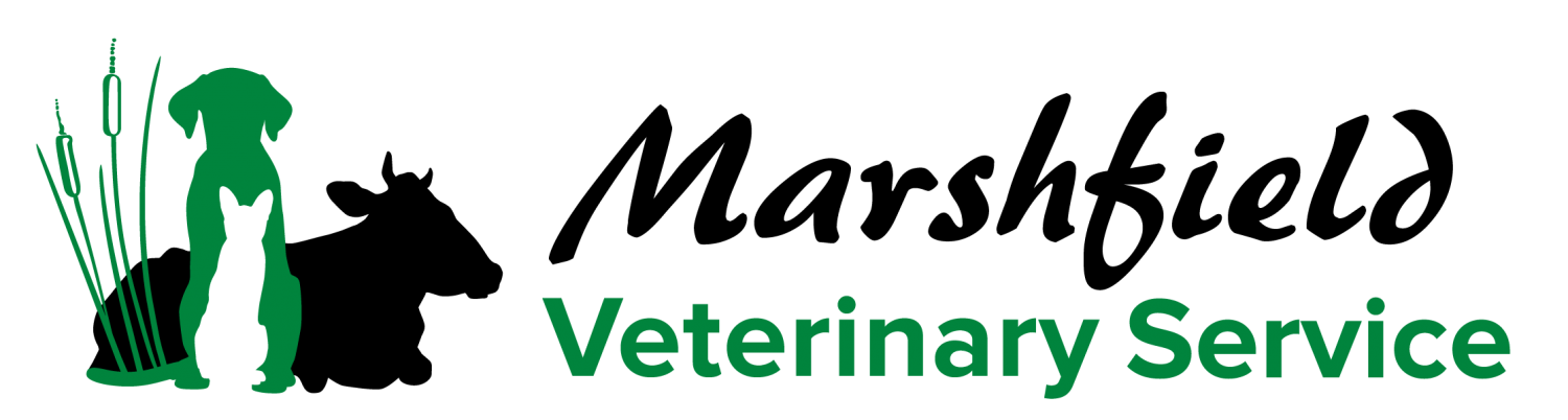 Marshfield Veterinary Service - Marshfield, WI