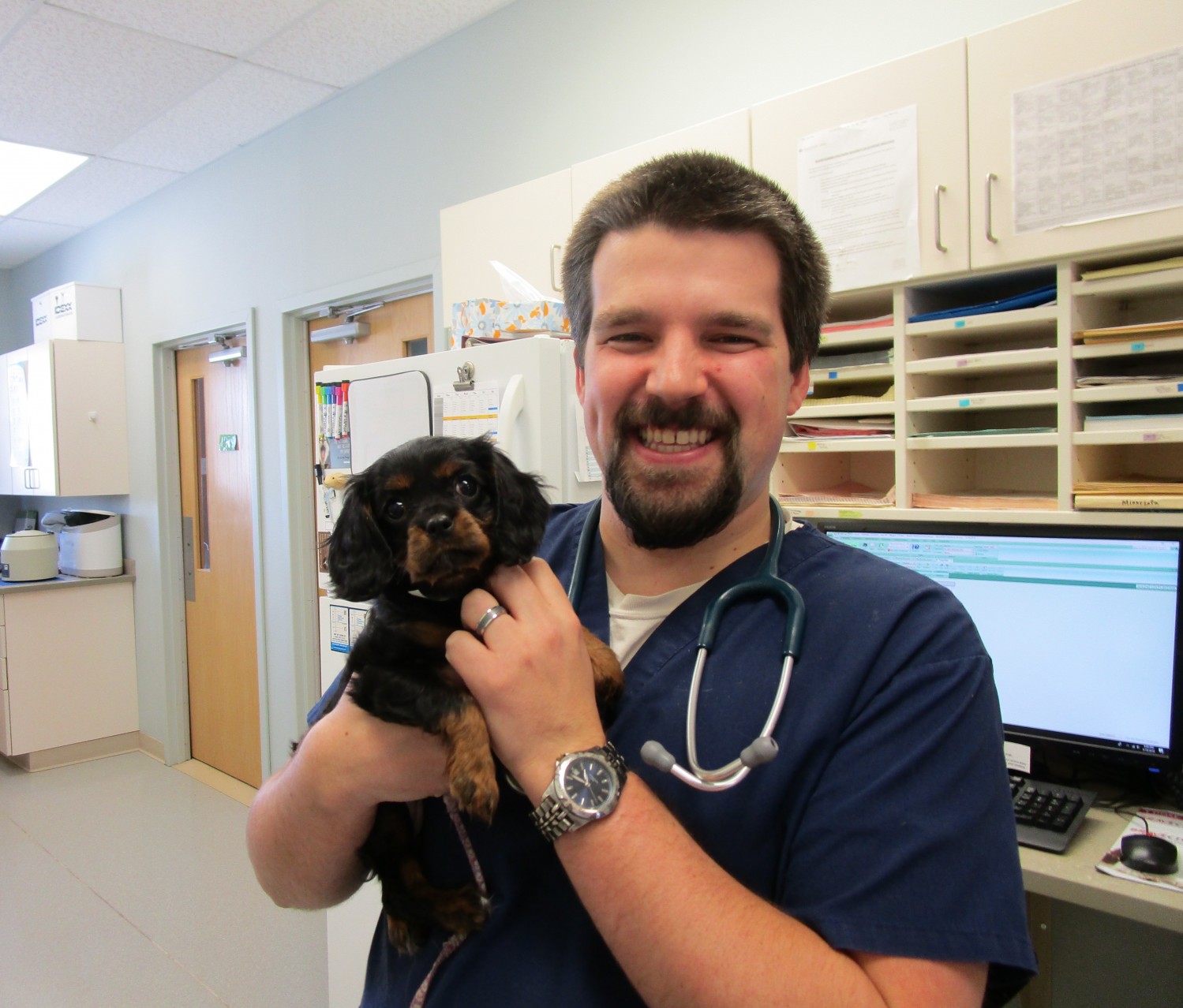 Marshfield Veterinary Service Veterinarians Serving Marshfield Stratford Spencer And Hewitt Wi